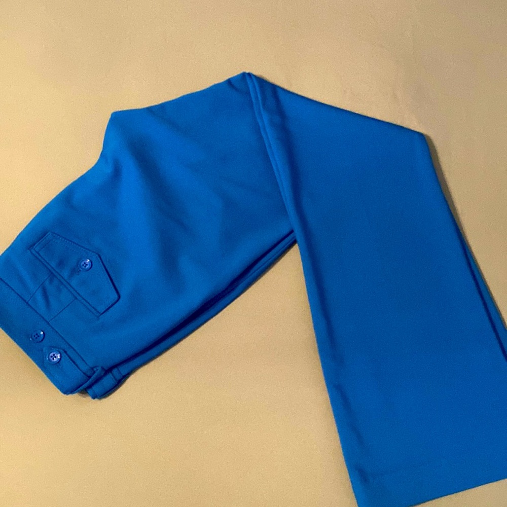 Express Columnist Pants